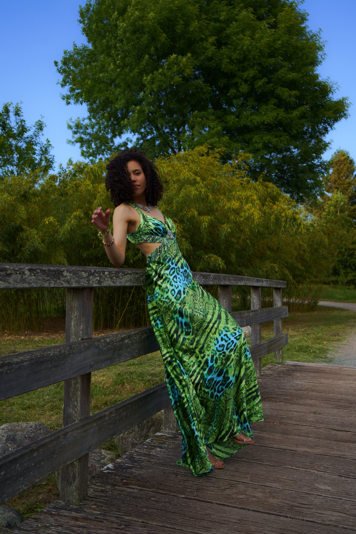 "Amaiya" Cheetah Dress