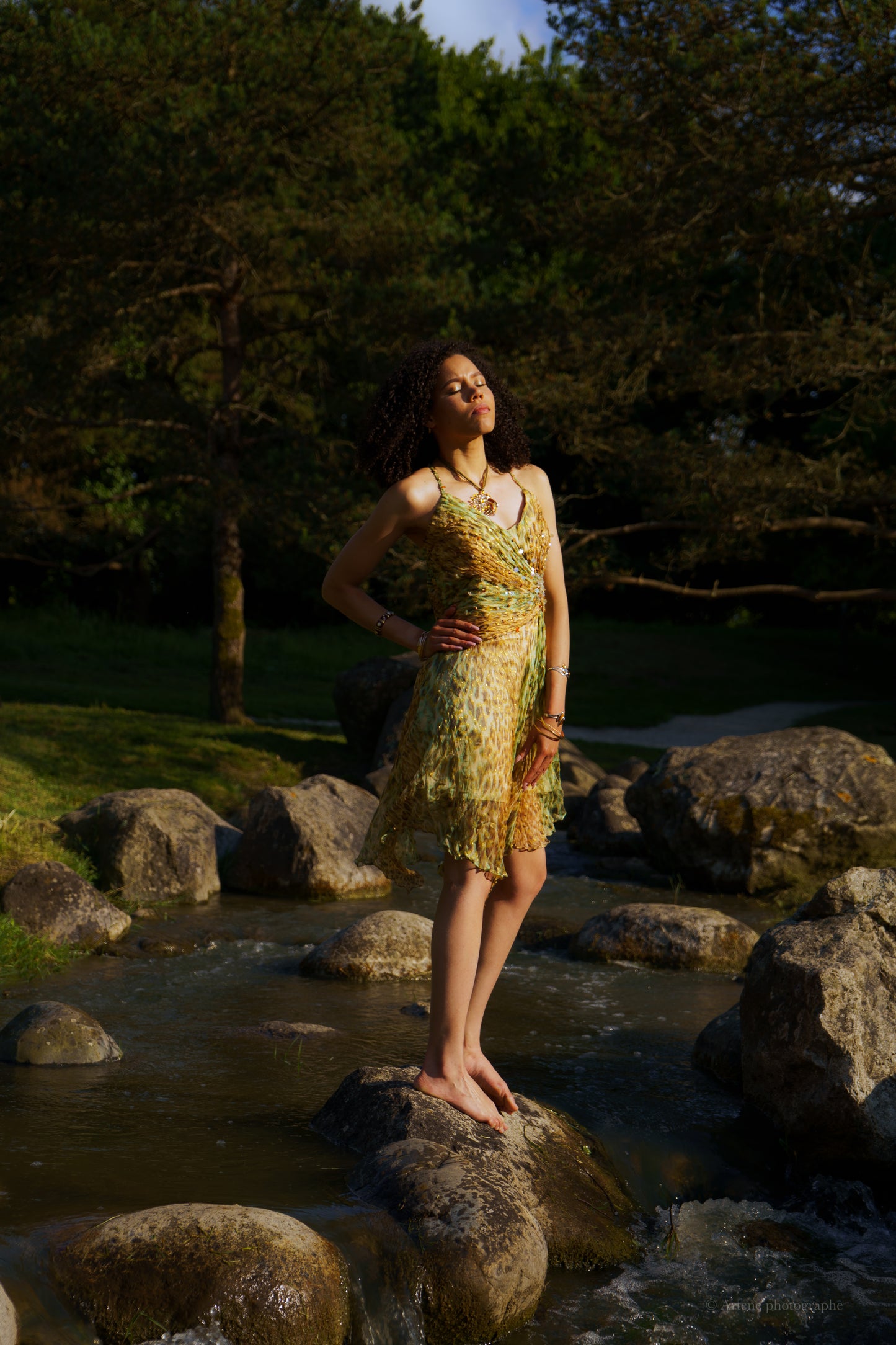 “Sierra” Glitter Cheetah Dress