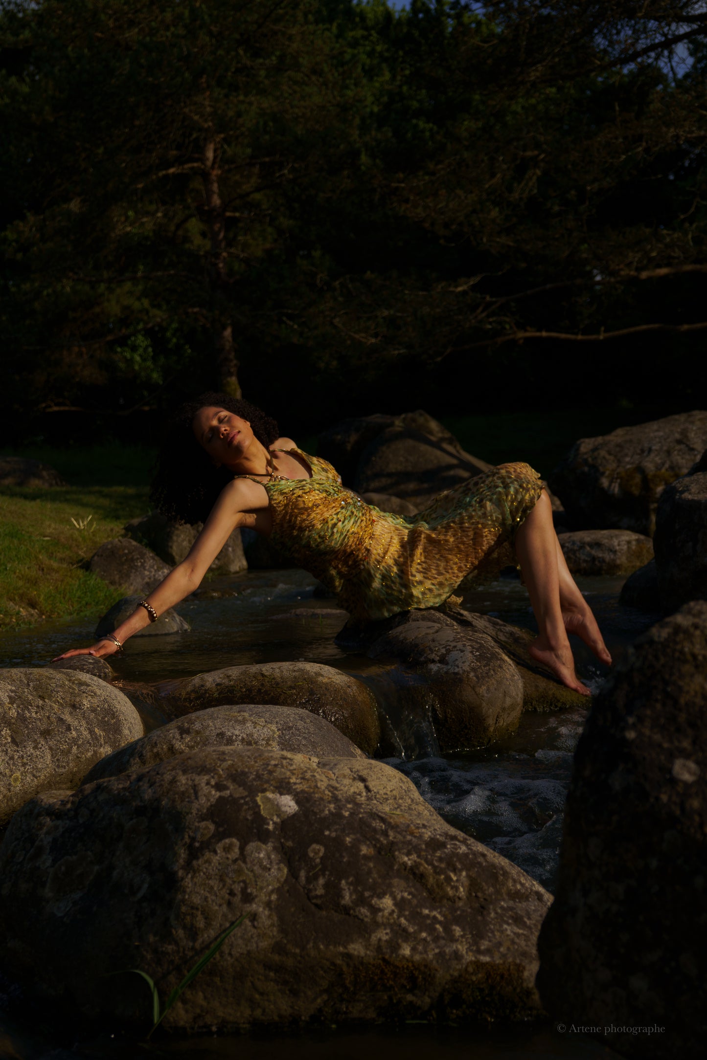 “Sierra” Glitter Cheetah Dress