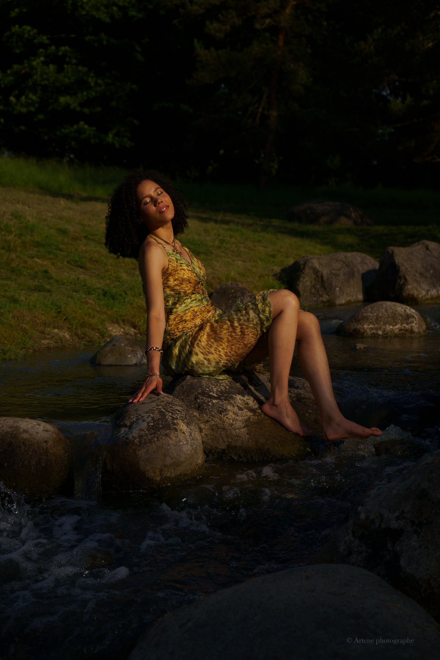 “Sierra” Glitter Cheetah Dress