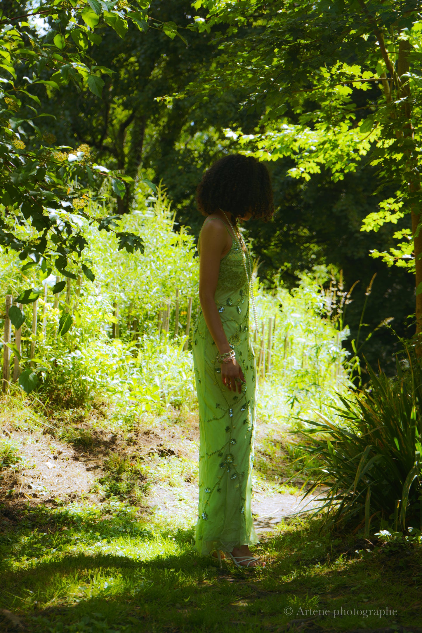 Forest Bloom
