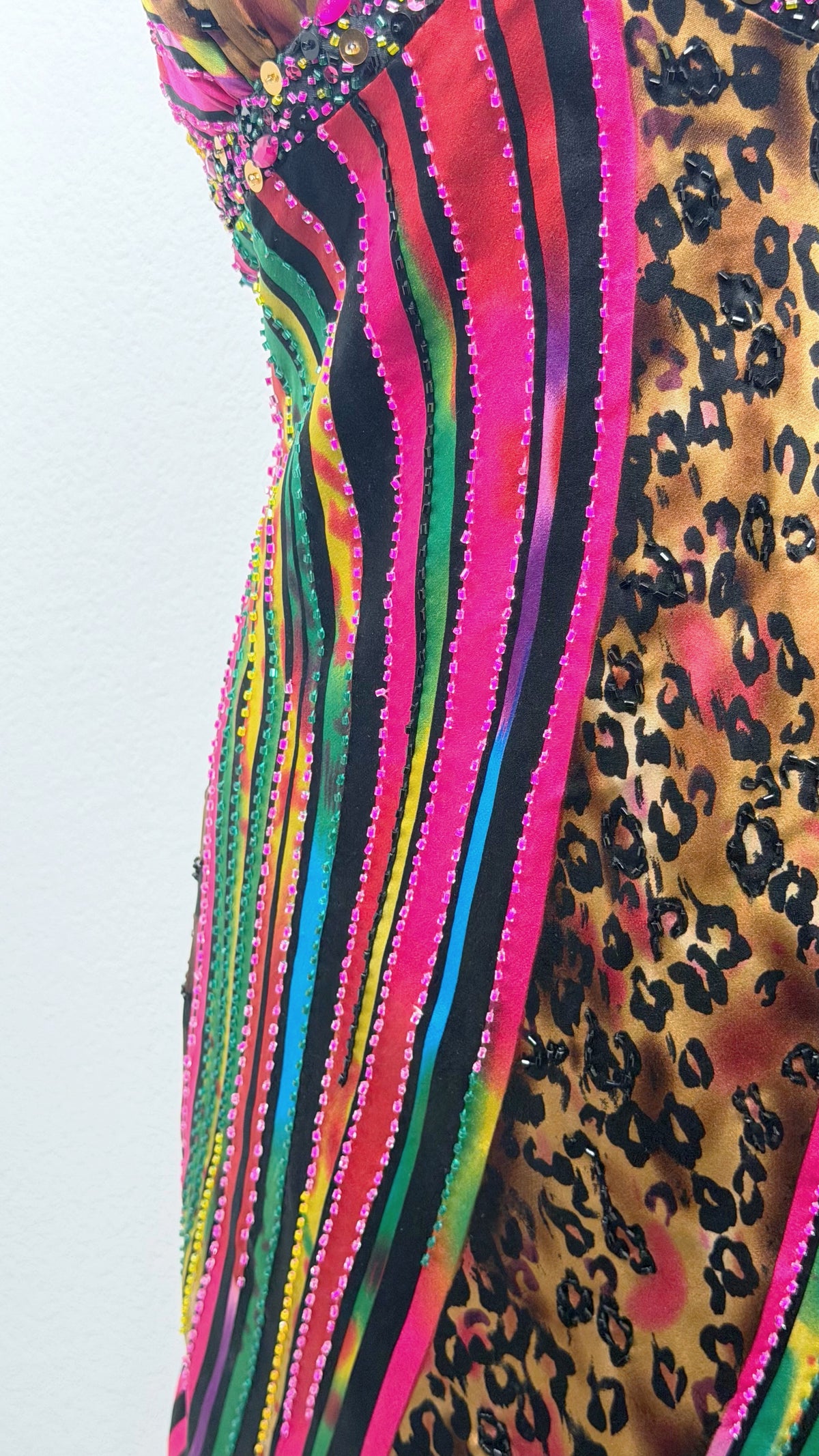 The Wild Prism Dress