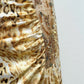 Golden Wildcat Hand-Beaded Two-Piece Set
