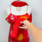The Scarlet Sunset Silk Gown