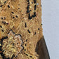 Golden Mirage Beaded Dress