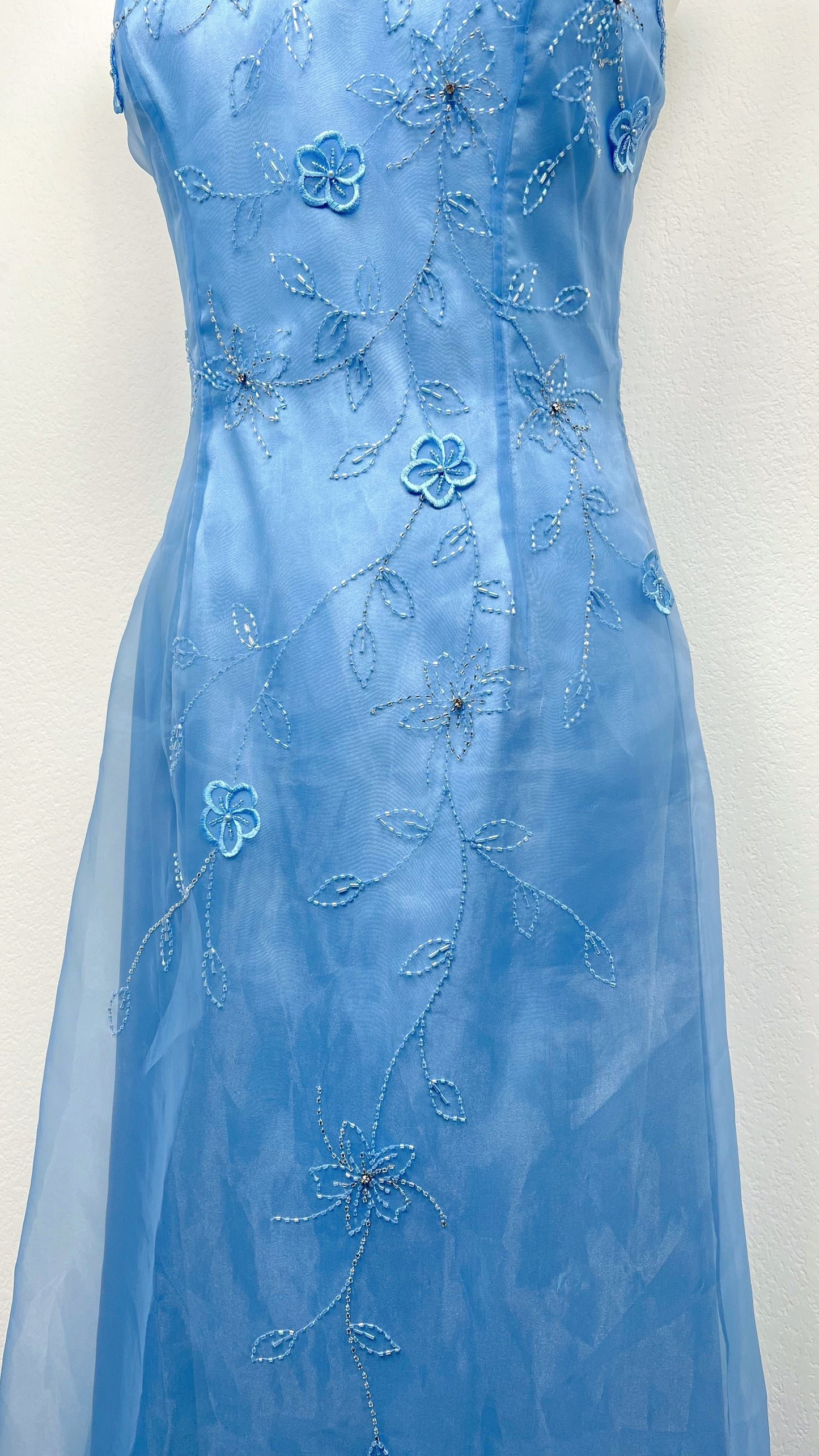 Cinderella Dream Dress