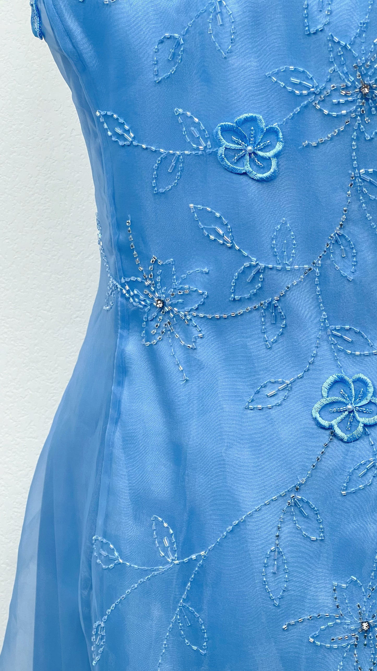 Cinderella Dream Dress